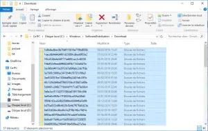 Supprimer fichier téléchargement Supprimer fichier téléchargement