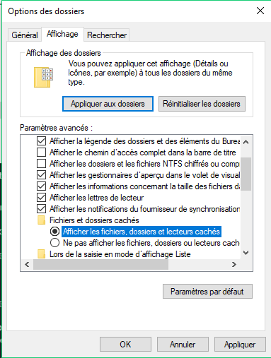 afficher les fichiers, dossiers et lecteurs cachés
