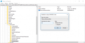 désactiver Windows Store via l'éditeur de registre