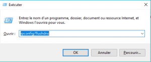 ipconfig/flushdns