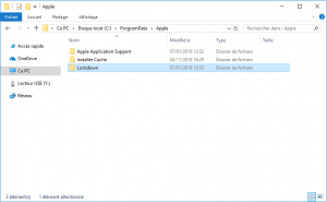 supprimer le dossier Lockdown sur Windows