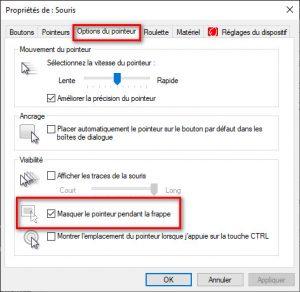 Masquer le pointeur pendant la frappe