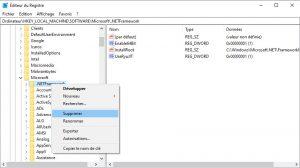 Supprimer la clé .NETFramework