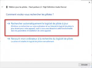 Mettre à jour automatiquement le pilote du son