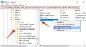 Supprimer la clé HostedNetworkSettings dans l'éditeur de registre