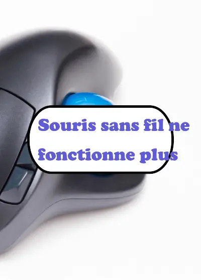 Souris sans fil ne fonctionne plus